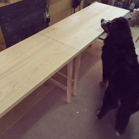 12246983_739984566135191_3302853164286118869_n