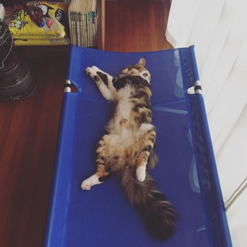 14046115_883647825102197_3091947140839464686_n